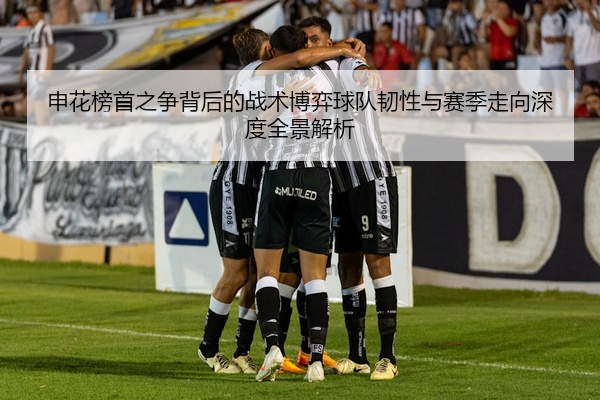 申花榜首之争背后的战术博弈球队韧性与赛季走向深度全景解析