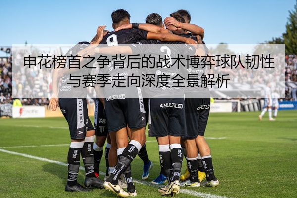 申花榜首之争背后的战术博弈球队韧性与赛季走向深度全景解析