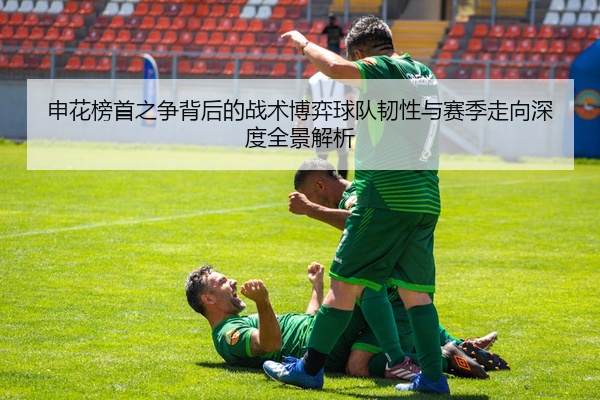 申花榜首之争背后的战术博弈球队韧性与赛季走向深度全景解析